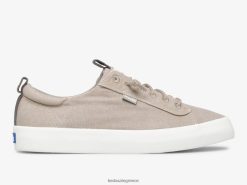 γυναίκες Keds sneaker από καμβά που πλένεται γκρί 006DX34