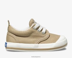 Μικρό παίδι Keds sneaker Graham πέτρα 006DX244